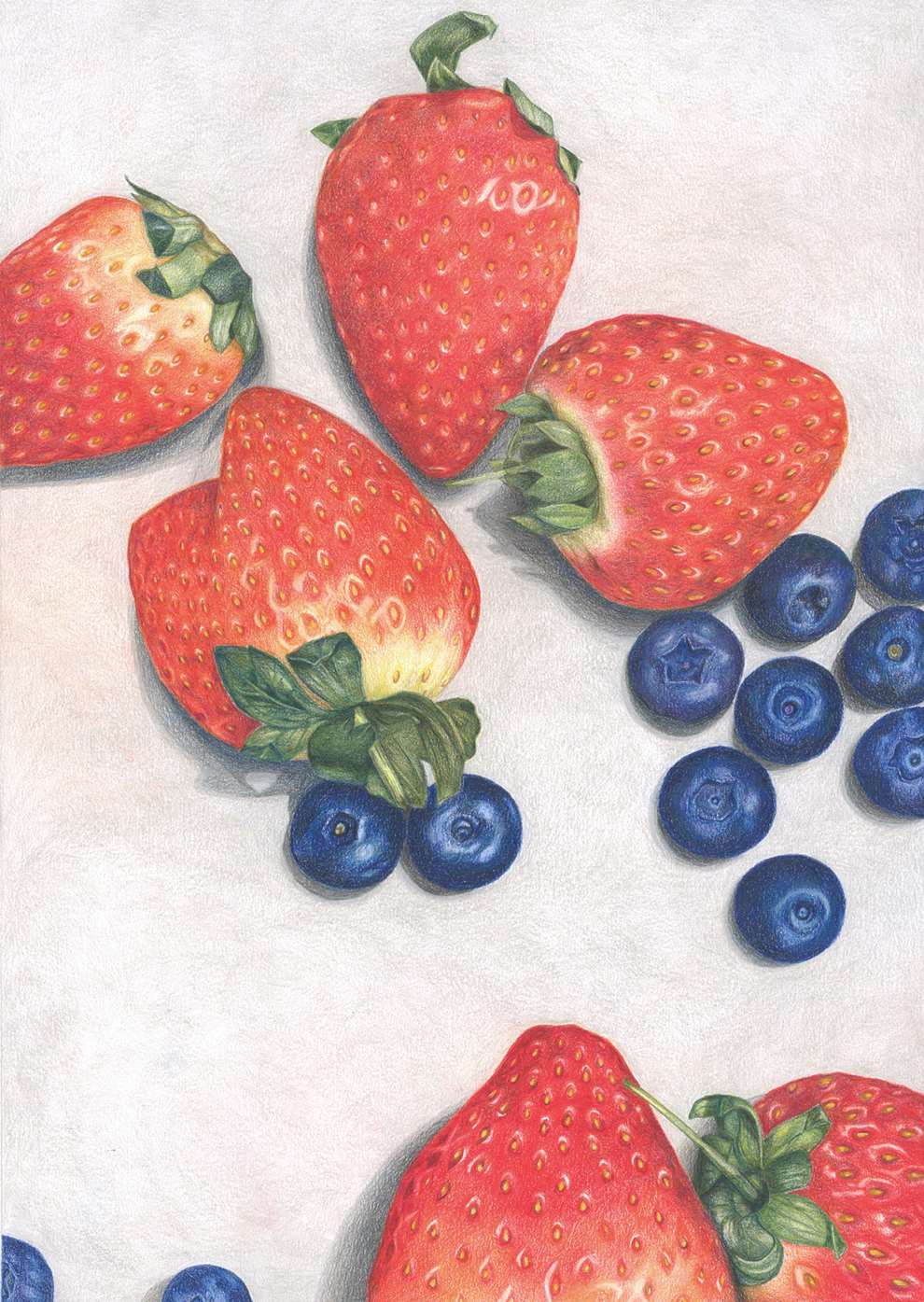 Pencil on Paper, Hand-drawn illustration of fruit detailed with colouring pencils.